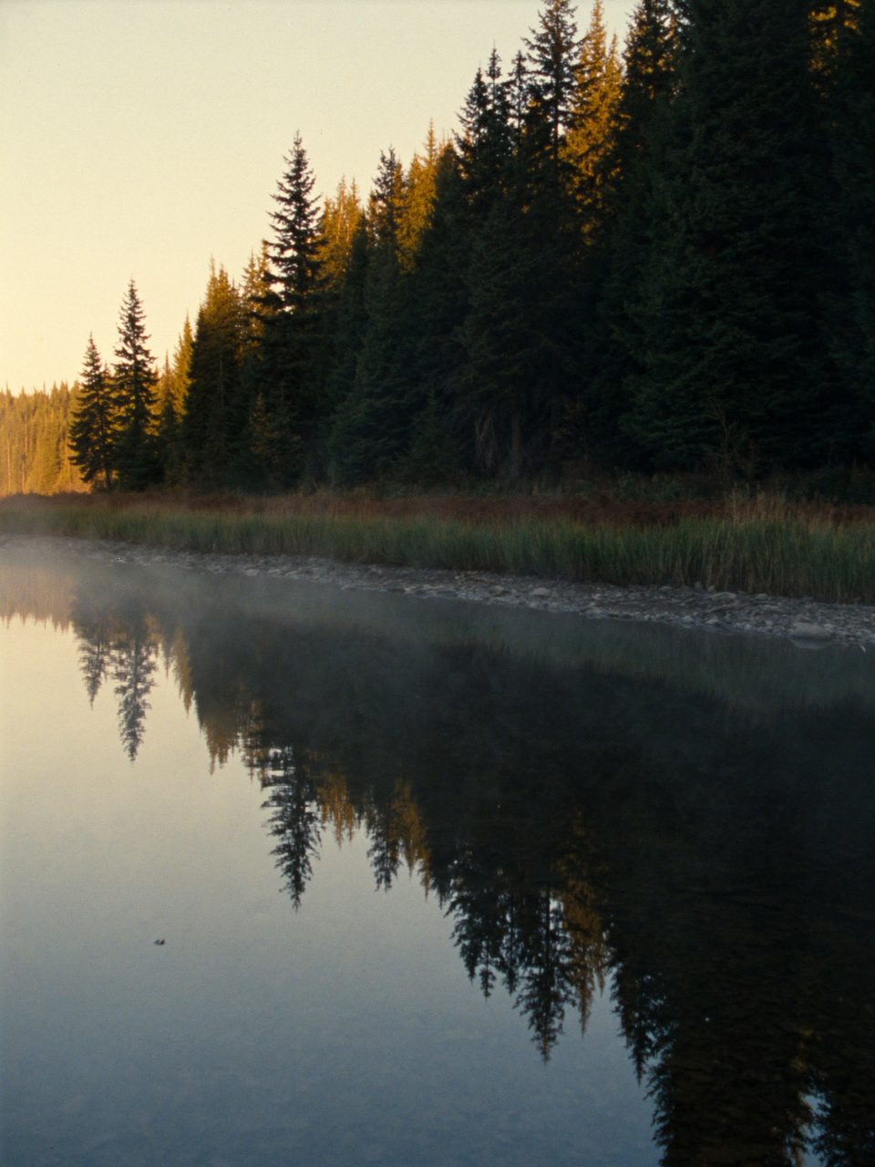 Stonewater Outfitters Fishing department